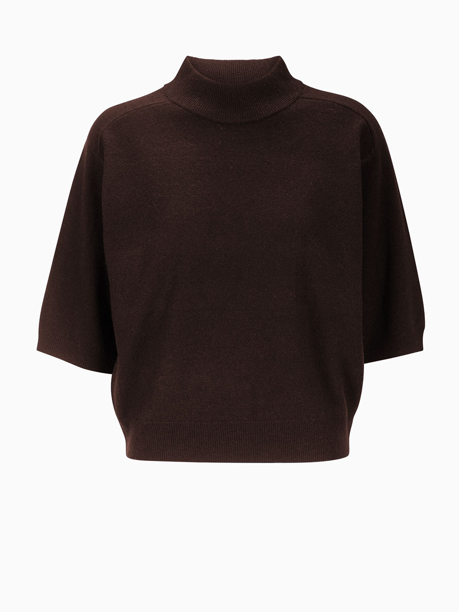 Turtleneck Pullover in Braun von REYER