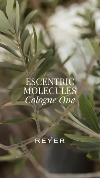 ✨ Exciting News bei REYERlooks! ✨

Die Duftwelt wird neu definiert - und zwar von @escentric_molecules 🧪
Die Brand steht für minimalistische, avantgardistische Parfums, die mit einzelnen Molekülen arbeiten und auf jeder Haut einzigartig wirken. Kein klassischer Duft - sondern ein Erlebnis. 

🌿Neu bei uns: Cologne One
Ein frischer, moderner Unisex-Duft mit überraschendem Twist - Gin Tonic Vibes inklusive 🍸✨

Und genau deshalb steht heute bei uns Hannes hinter der Bary Ja, richtig gelesen - Bar-Dienst mal anders! 😉

📍 Exklusiv bei uns im Store in Hallein erhältlich

💡Noch auf der Suche nach einem besonderen Geschenk? Diesen Sonntag ist Muttertag 💐 - Cologne One ist ein stilvoller, moderner Duft für alle, die das Besondere lieben. 

👉🏼 Was sagen Sie: Wäre dieser Duft etwas für Sie oder als Geschenk?
👉🏼 Kommen Sie vorbei und testen Sie selbst!

Wir freuen uns auf Ihren Besuch 💫

#reyerlooks #escentricmolecules #nischenduft #instaperfume #fragranceaddict